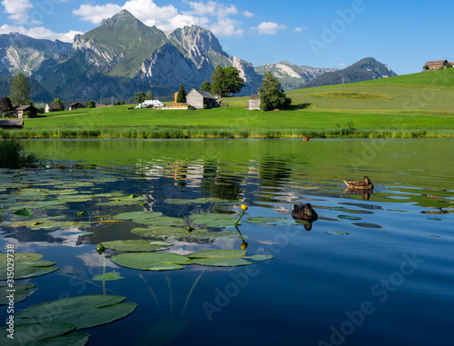 a quiet scene in switzerland