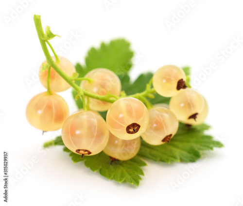 White currants with green leaves.