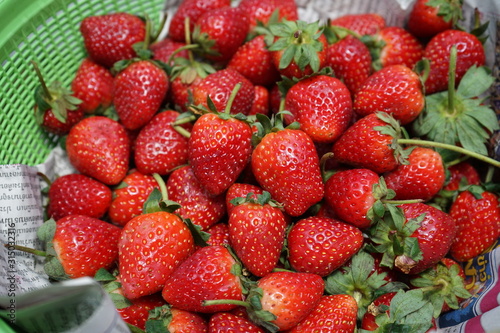 fresh strawberry placed on newspaper in a green basket