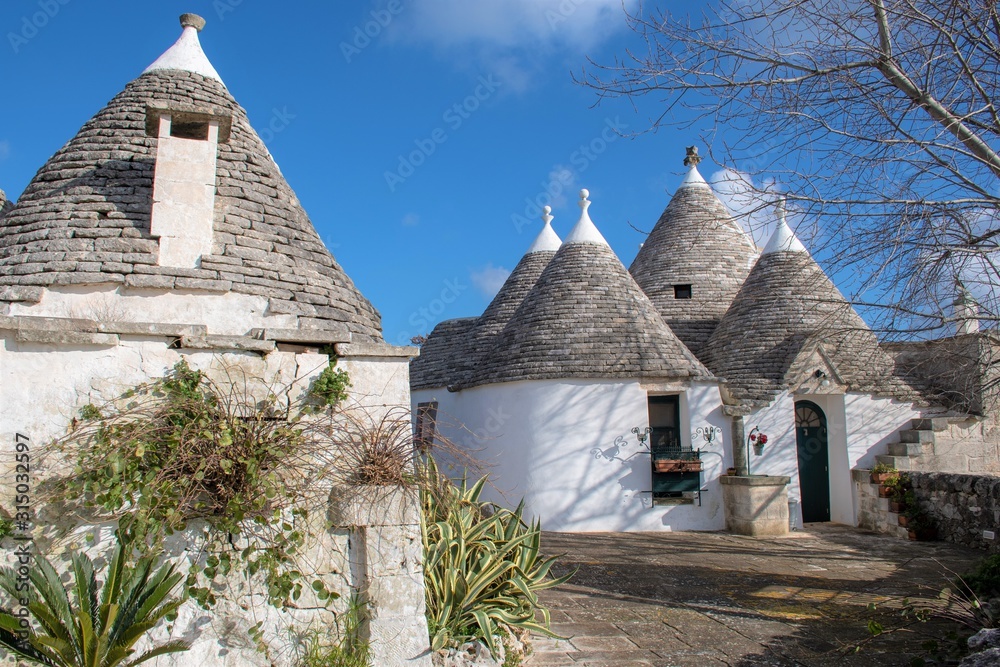 Group of Trulli with garden, traditional old houses and old stone wall in Puglia, Italy, Europe