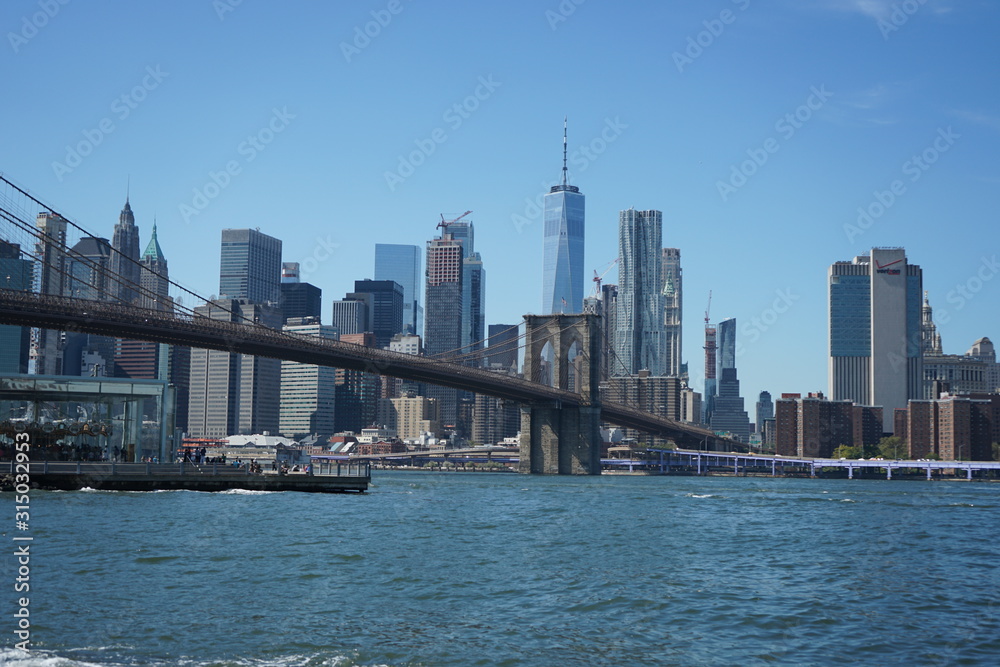 Vistas desde la orilla de Brooklyn 4