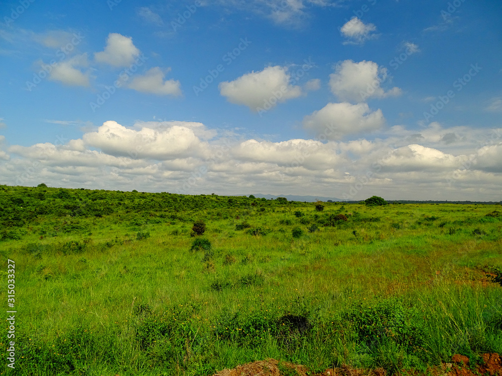 Obraz premium Windows Landschaft Schäfchenwolken und gründe Weite Africa