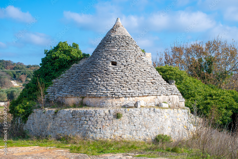 Ancient Trullo in the countryside, traditional old house and old stone wall in Puglia, Italy, Europe with olive trees