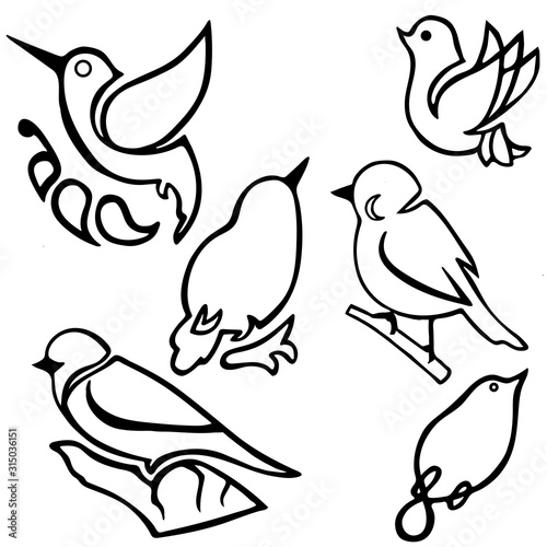Set of black and white birds isolated on a white background
