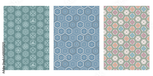 Japanese Hexagon Flower Abstract Vector Background Collection