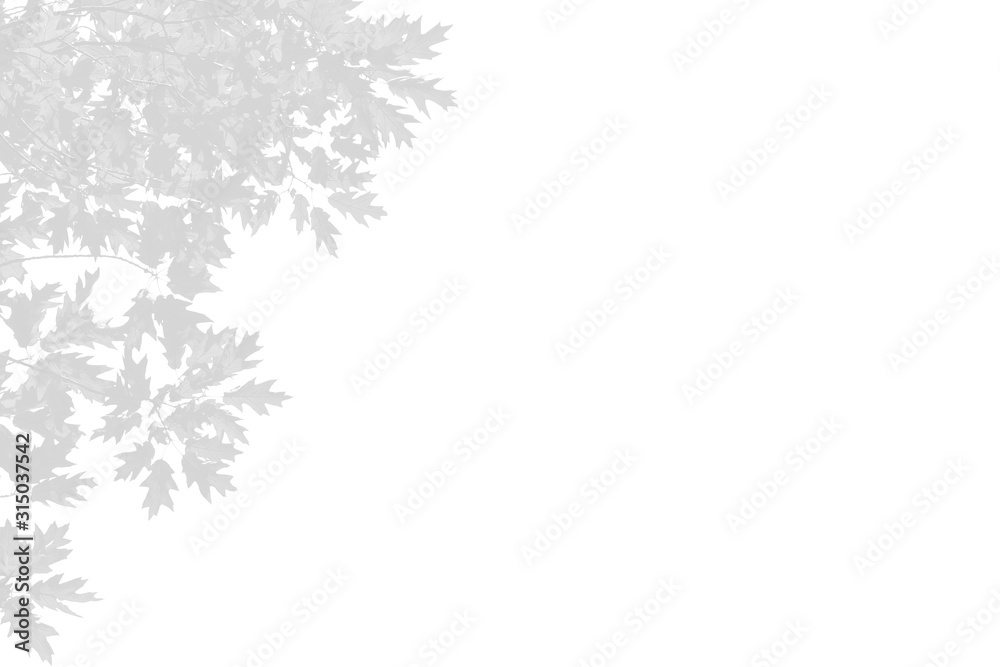 Abstract neutral nature concept blurred banner. Copy space. Overlay effect for photo. Abstract neutral nature concept blurred banner. Copy space. Overlay effect for photo.
