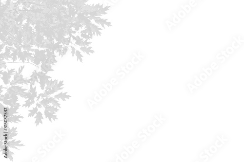 Abstract neutral nature concept blurred banner. Copy space. Overlay effect for photo.