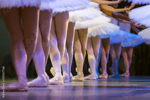 Obraz na plátně Legs of ballerinas dancing in ballet Swan Lake.