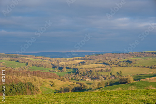Goodwood Hill Walk