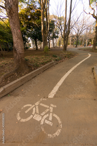 公園に設置された自転車専用通路