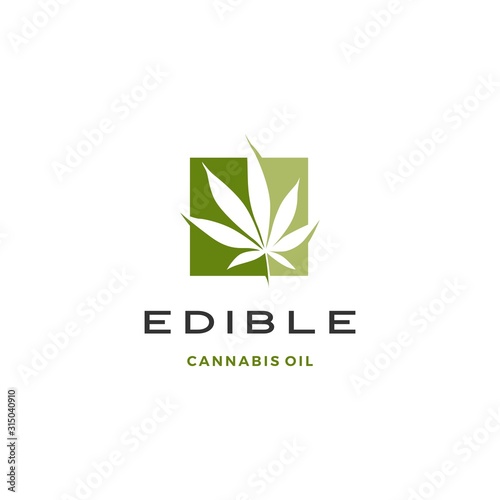 cannabis leaf square logo vector icon