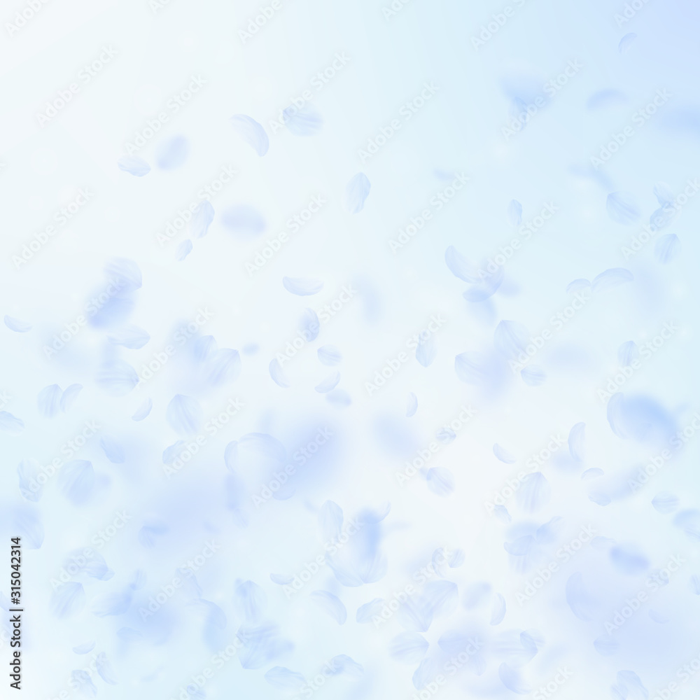 Light blue flower petals falling down. Ecstatic ro Light blue flower petals falling down. Ecstatic ro