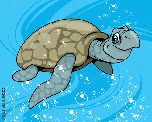 Cartoon waterfowl turtle