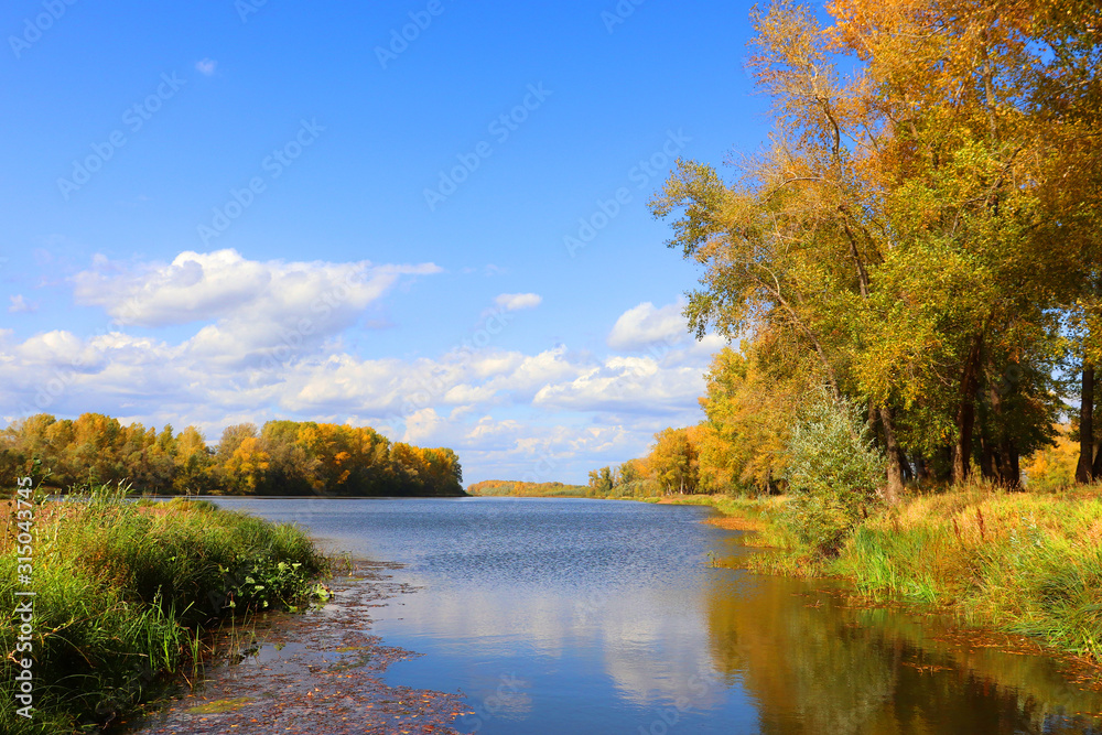 Fototapeta premium autumn landscape with river and trees