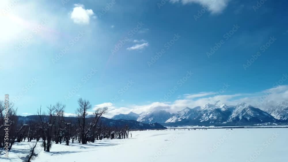 Open snowy mountain side landscape changes to dead forrest as the camera pans by