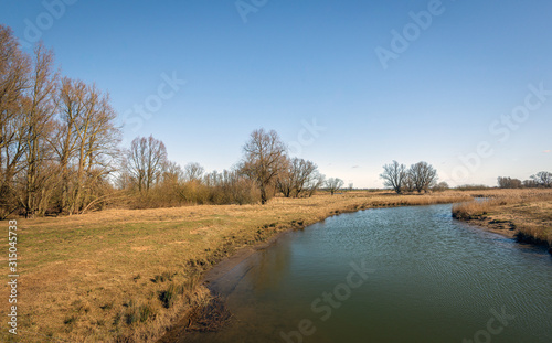 Creek meanders through the Dutch National Park Biesbosch. The bright blue sky reflects in the rippled water surface. It is at the end of the winter season.