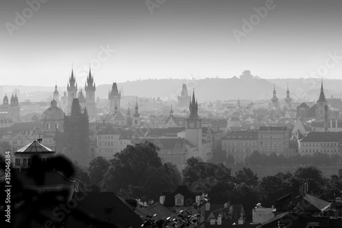Monochromatic Prague panorama from Petrin hill at sunrise