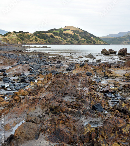 Onawe Paninsula Volcanic Plug, Akaroa Harbour, New Zealand photo