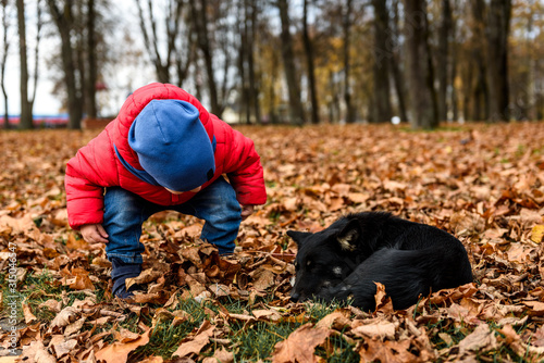Little boy and black stray dog in autumn park.