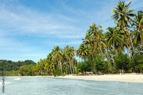 Coconut Island landscape of tropical beach