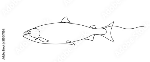 Salmon fish in continuous line art drawing style. Minimalist black linear sketch on white background. Vector illustration