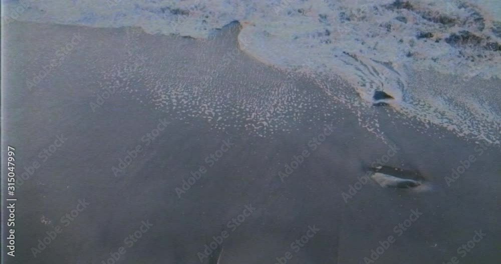 VHS footage of wildlife. Vintage video of sealife and wilderness. Noise and bad effects on television and rgb distorsion. Damaged VHS video documentary. Wild animals life on old tape VHS 80s and 90s