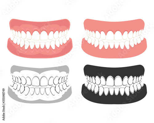Dental jaw with healthy teeth.