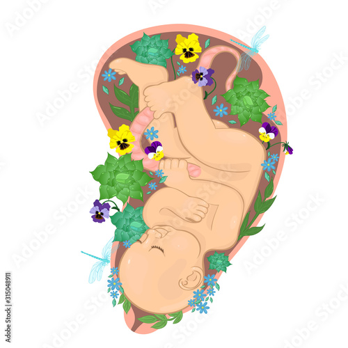 Baby in the womb with flowers. Vector graphics.