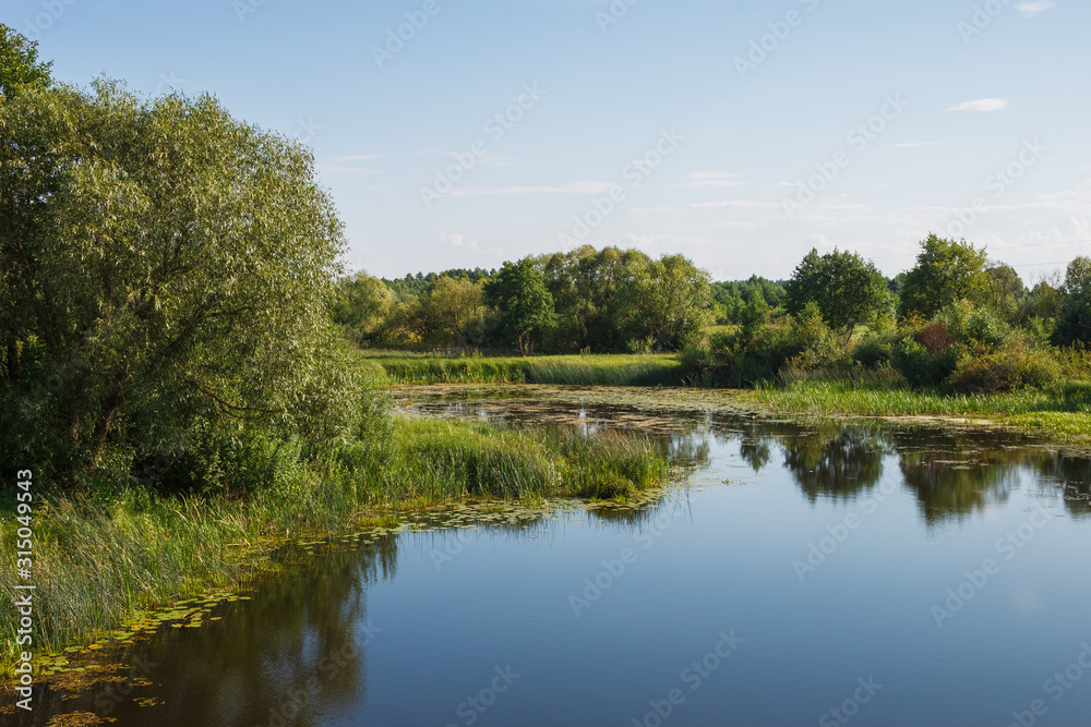 View of a picturesque landscape with a river. Landscape overlooking the riverbed. Overgrown shores	