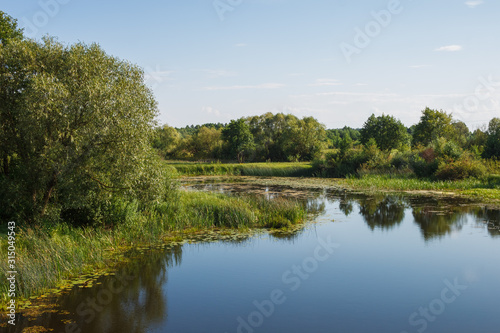 View of a picturesque landscape with a river. Landscape overlooking the riverbed. Overgrown shores	