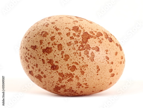 Egg isolated on white background