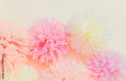 Beautiful abstract color purple and pink flowers on yellow background and white flower frame and pink leaves texture, white background, colorful colorful banner happy valentine