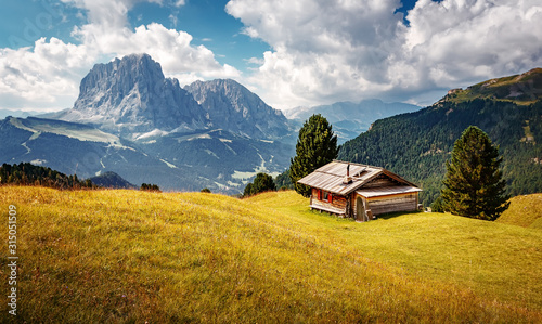 Scenic image of Dolomites Alps. Stunning scenery in alpine highlands at summer. Sunrise in the mountain valley with traditional hut. Natural landscape in summer time. Famouse Sassolungo on background