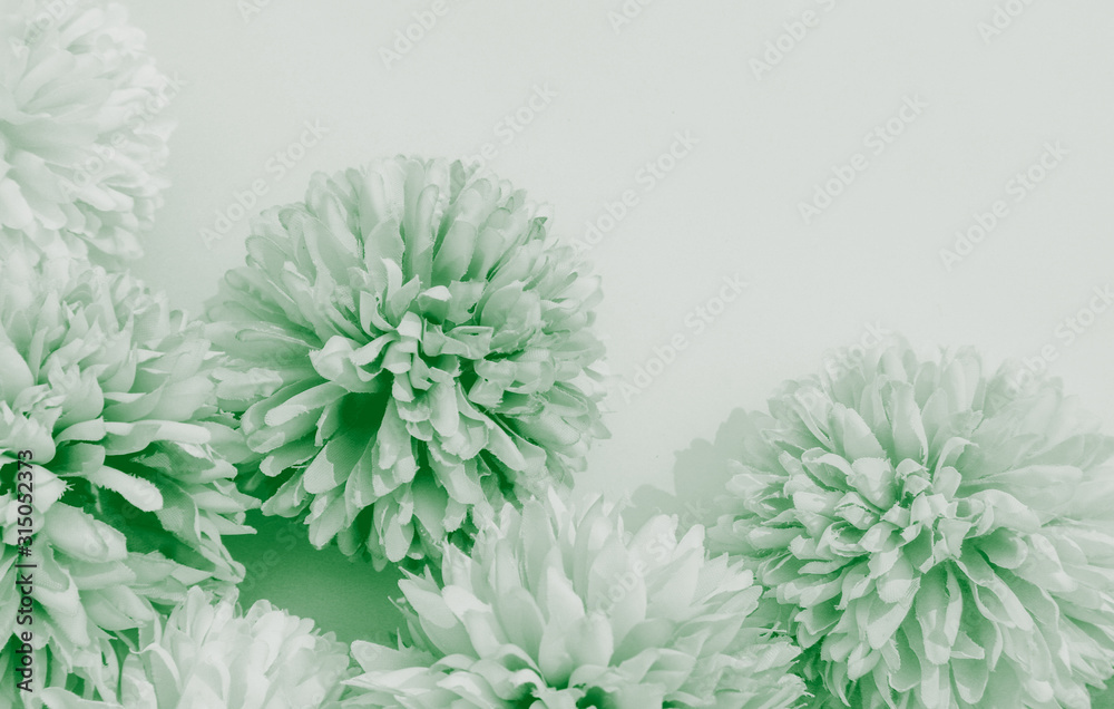 Beautiful abstract color white and green flowers on white background and white flower frame and green leaves texture, green background, colorful white banner happy valentine