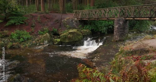 Scenic 4K video of Tollymore forest mountain stream and surroundings, Tollymore Forest park, Northern Ireland photo