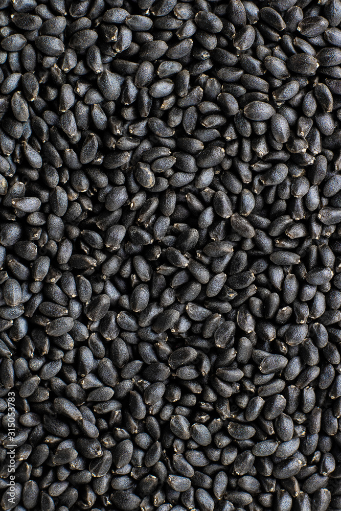 Basil seeds close up background. Macro. Raw dry organic grain used in drinks and food in Asia. Healthy superfood, ingredient for Veg, Keto cuisine. Also called tukmaria, sabja and falooda. Horizontal Basil seeds close up background. Macro. Raw dry organic grain used in drinks and food in Asia. Healthy superfood, ingredient for Veg, Keto cuisine. Also called tukmaria, sabja and falooda. Horizontal