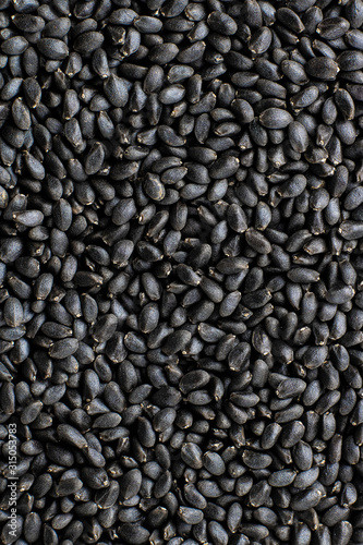 Basil seeds close up background. Macro. Raw dry organic grain used in drinks and food in Asia. Healthy superfood, ingredient for Veg, Keto cuisine. Also called tukmaria, sabja and falooda. Horizontal
