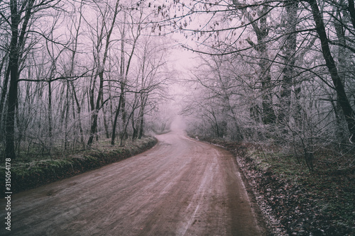 Landscape with beautiful fog. Dirt road go through on a mysterious winter forest,  Magical and mystical atmosphere.