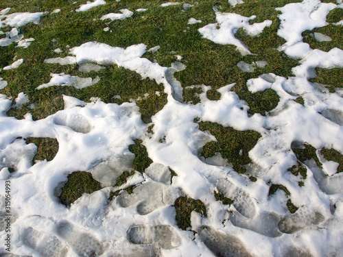 patches of grass showing through melting ice