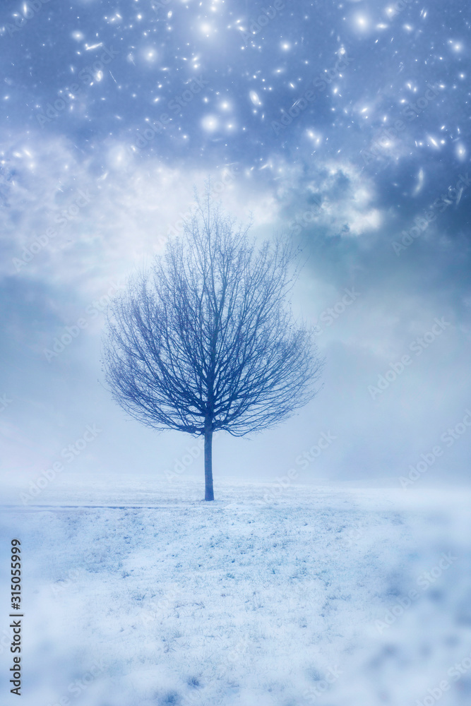 Foto Stock a winter tree in snow landscape with cloudy sky and stars like  fantasy mystical magic background | Adobe Stock