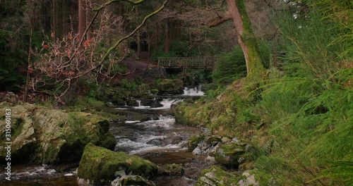 Scenic 4K video of Tollymore forest mountain stream and surroundings, Tollymore Forest park, Northern Ireland