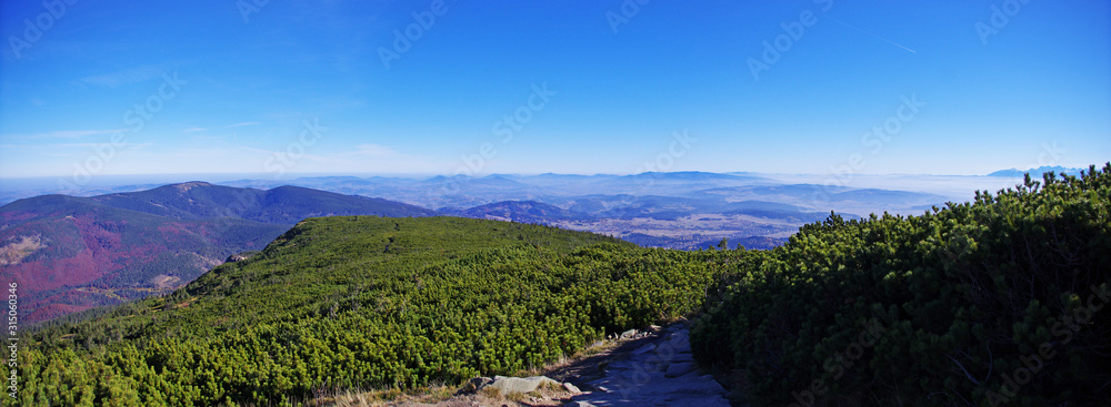 Panorama ze szlaku turystycznego na Babią Górę