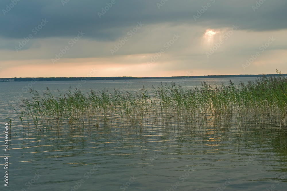 Lightly Overgrown Lake