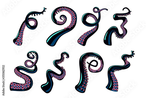 Octopus tentacles set. Vector design elements collection on isolated white background. Cartoon style color clip art. photo