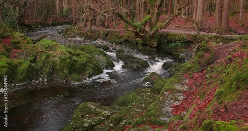 Scenic 4K video of Tollymore forest mountain stream and surroundings, Tollymore Forest park, Northern Ireland photo