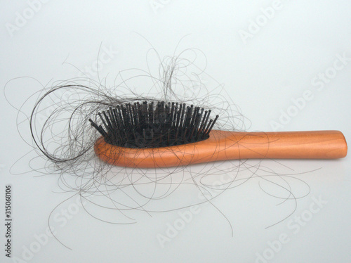 Hair falling out is on the brush with the white background. The causes of hair loss in men or women include oily scalp, hormonal imbalance, thyroid disease, genetic, and stressful events.