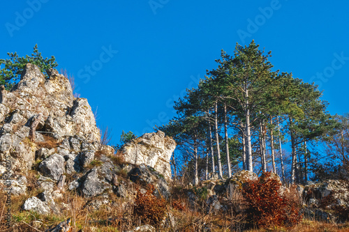 sonniger Wintertag in den Bergen auf dem Weg zum Schloss photo