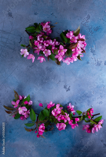 Spring tree flowers