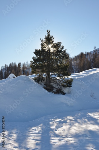 Paesaggio innevato