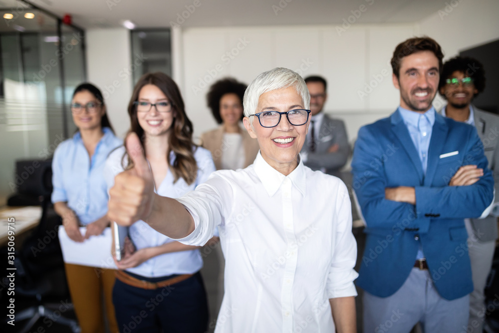 Successful group of business people at work in office